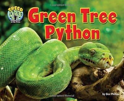 Green Tree Python