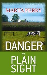 Danger in Plain Sight: An Amish Suspense Novel