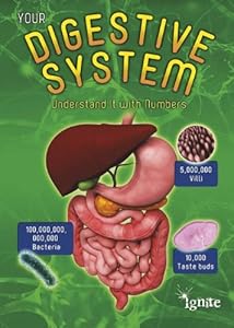 Your Digestive System: Understand It with Numbers