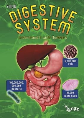 Your Digestive System: Understand It with Numbers