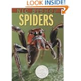 Spiders