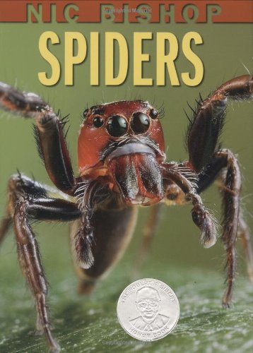 Nic Bishop Spiders (Sibert Honor Book) by Nic Bishop