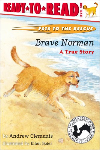 Brave Norman : A True Story by Andrew Clements