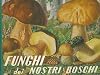 Funghi dei nostri boschi.