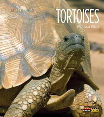 Living Wild: Tortoises