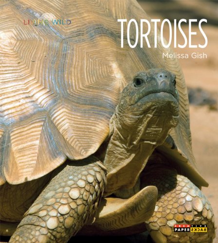 Living Wild: Tortoises by Melissa Gish