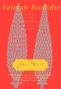 East, West: Stories (Vintage International)
