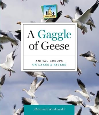 A Gaggle of Geese: Animal Groups on Lakes &amp; Rivers
