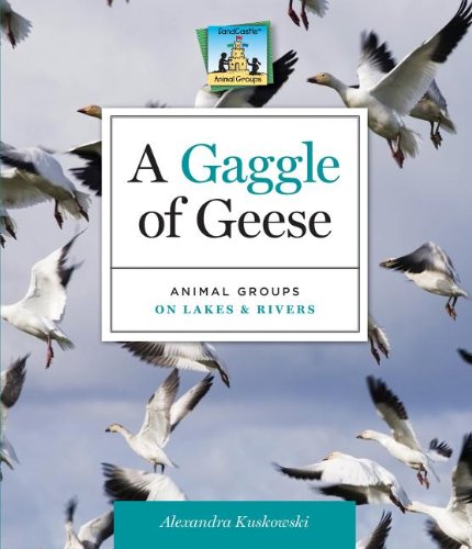 A Gaggle of Geese: Animal Groups on Lakes &amp; Rivers by Alex Kuskowski