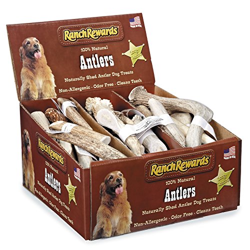 Algopix Similar Product 13 - Ranch Rewards 36Piece Deer Antler