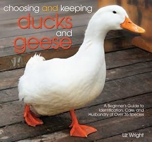 Choosing and keeping ducks and geese