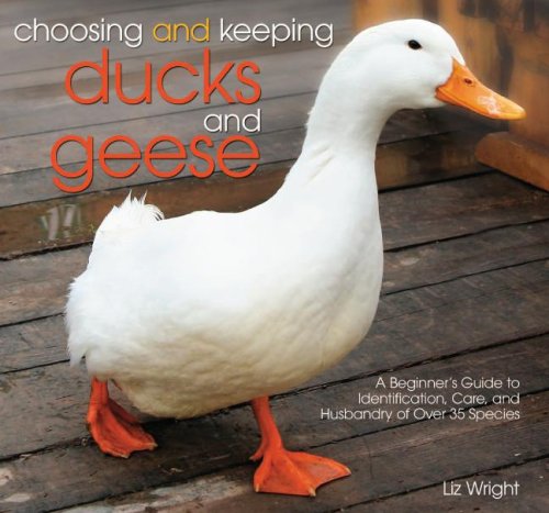 Choosing and keeping ducks and geese by Liz Wright