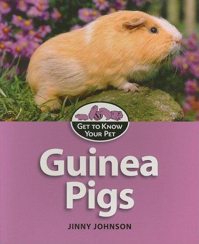 Guinea Pigs by Jinny Johnson