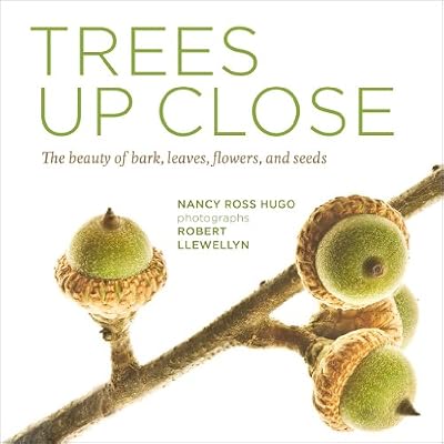 Trees Up Close: The Beauty of Their Bark, Leaves, Flowers, and Seeds