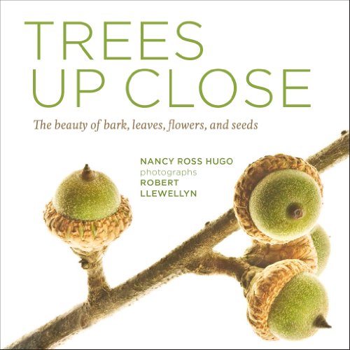 Trees Up Close: The Beauty of Their Bark, Leaves, Flowers, and Seeds by Nancy Ross Hugo