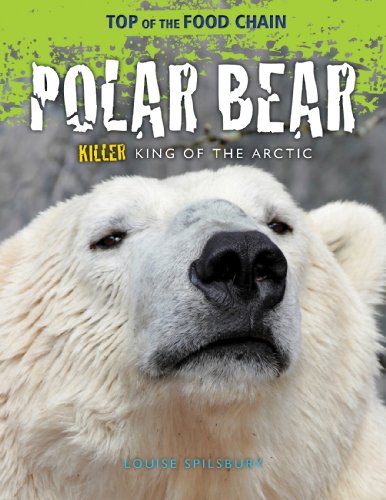 Polar Bear: Killer King of the Arctic by Louise Spilsbury