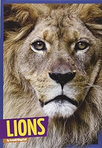 Lions
