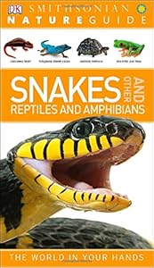 Nature Guide: Snakes and Other Reptiles and Amphibians