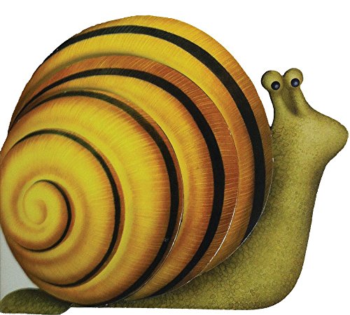 Little Snail by Giovanni Caviezel