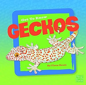 Get to Know Geckos
