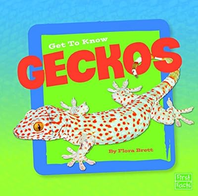 Get to Know Geckos