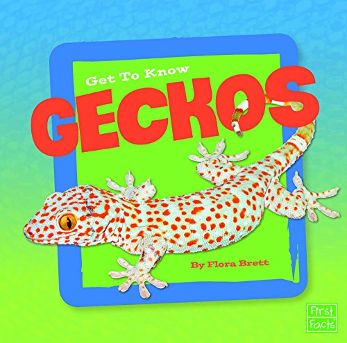 Get to Know Geckos by Flora Brett