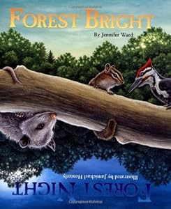 Forest Bright, Forest Night (Sharing Nature With Children Book) (Sharing Nature with Children Books)