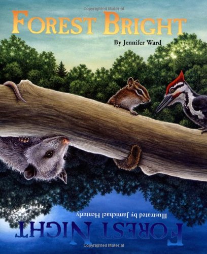 Forest Bright, Forest Night (Sharing Nature With Children Book) (Sharing Nature with Children Books) by Jennifer Ward