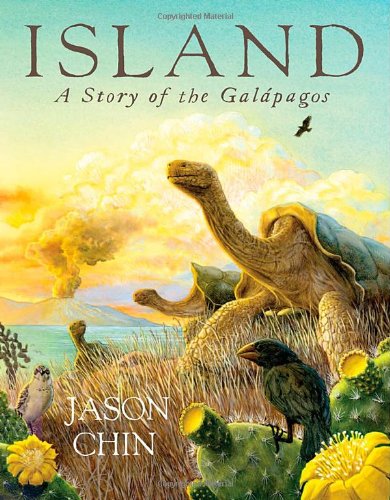 Island: A Story of the Gal&aacute;pagos by Jason Chin