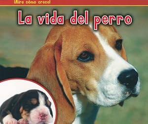 La vida del perro