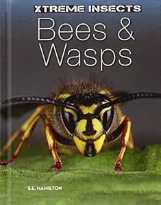 Bees &amp; Wasps