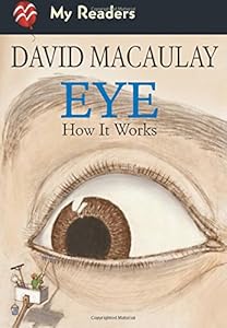 Eye: How It Works by Sheila Keenan