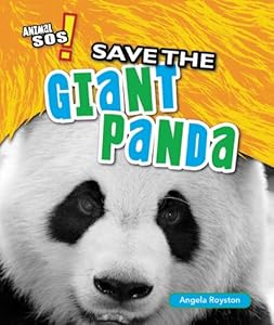 Save the Giant Panda