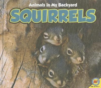 Squirrels