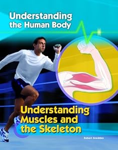 Understanding Muscles and the Skeleton