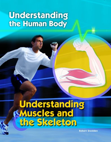 Understanding Muscles and the Skeleton by Robert Snedden