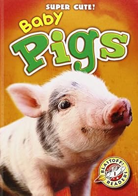 Baby Pigs