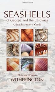 Seashells of Georgia and the Carolinas by Blair Witherington  ,