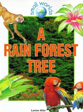 A Rain Forest Tree (Small Worlds) by Lorien Kite