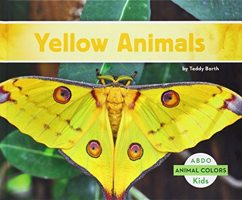 Yellow Animals by Teddy Borth