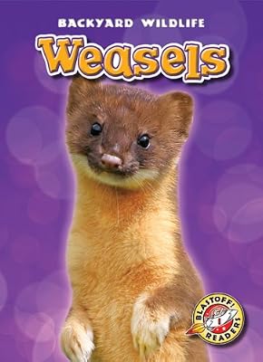 Weasels