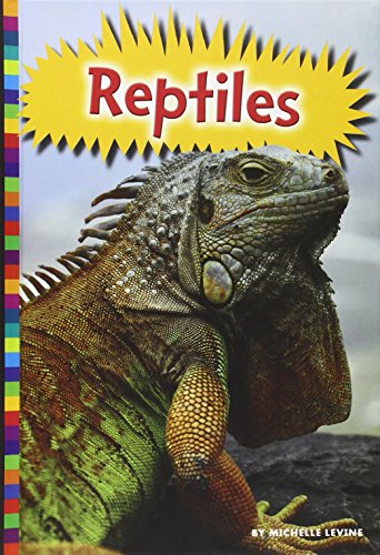 Reptiles by Michelle Levine