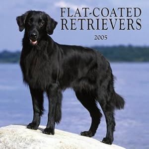Flat-coated Retrievers 2005 Calendar