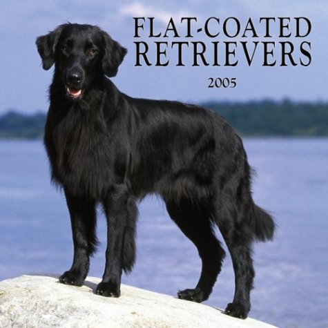 Flat-coated Retrievers 2005 Calendar by NOT A BOOK