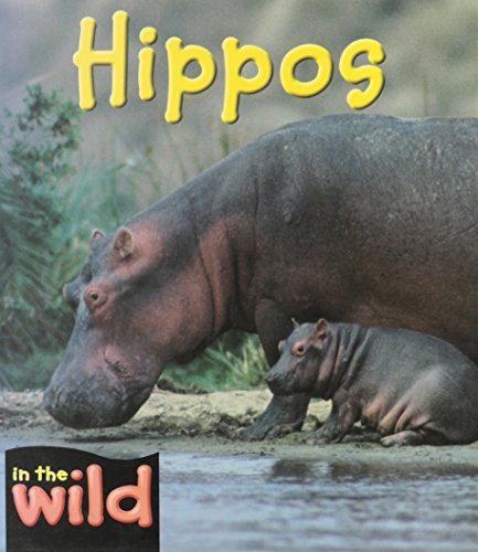 Hippos (In the Wild) by Patricia Kendell