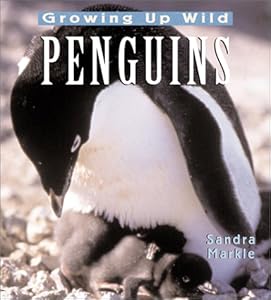 Penguins: Growing Up Wild