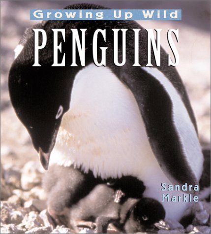 Penguins: Growing Up Wild by Sandra Markle