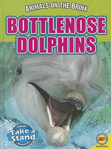 Bottlenose dolphins by Patricia Miller-Schroeder