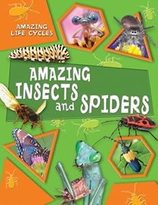 Amazing Insects and Spiders (Amazing Life Cycles)