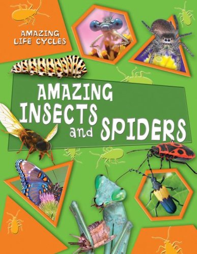Amazing Insects and Spiders (Amazing Life Cycles) by George C. McGavin